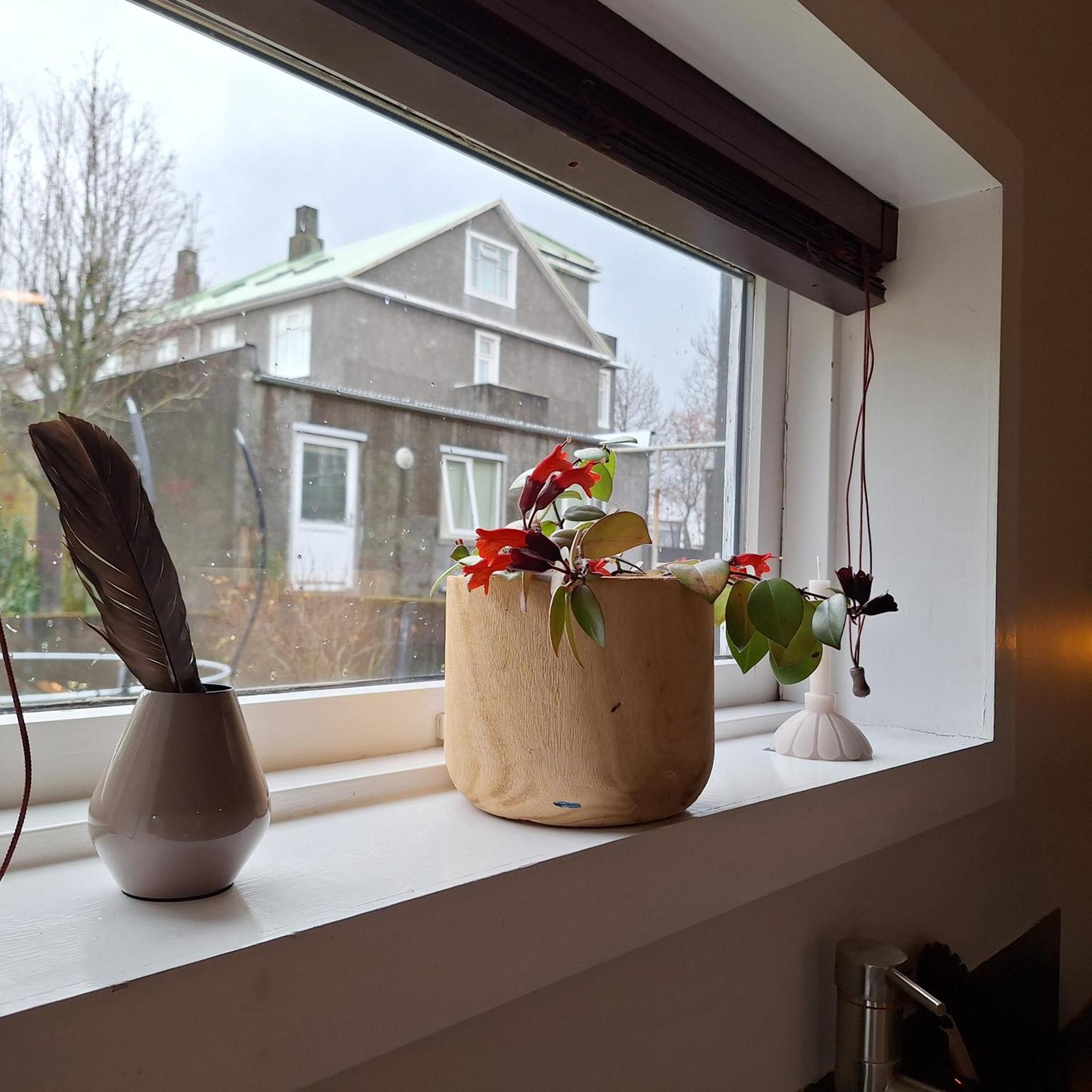 Central Reykjavík - Garden Cottage Exterior foto